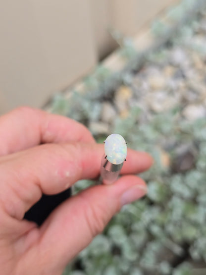 Opal, White Range Red flash.