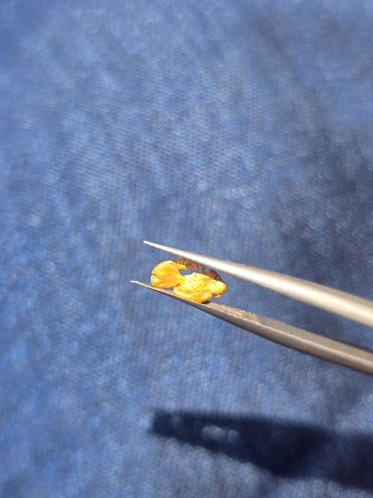 0.273g Gold Nugget