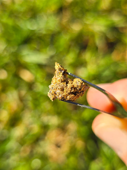 1.882g Gold Nugget beechworth