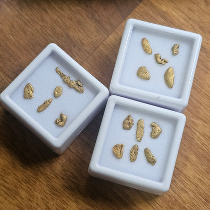 1 Gram Alpine Gold Parcels