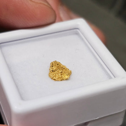0.28g Reef Gold Specimen