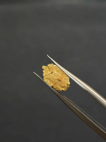 0.59 Gold Leaf Nugget