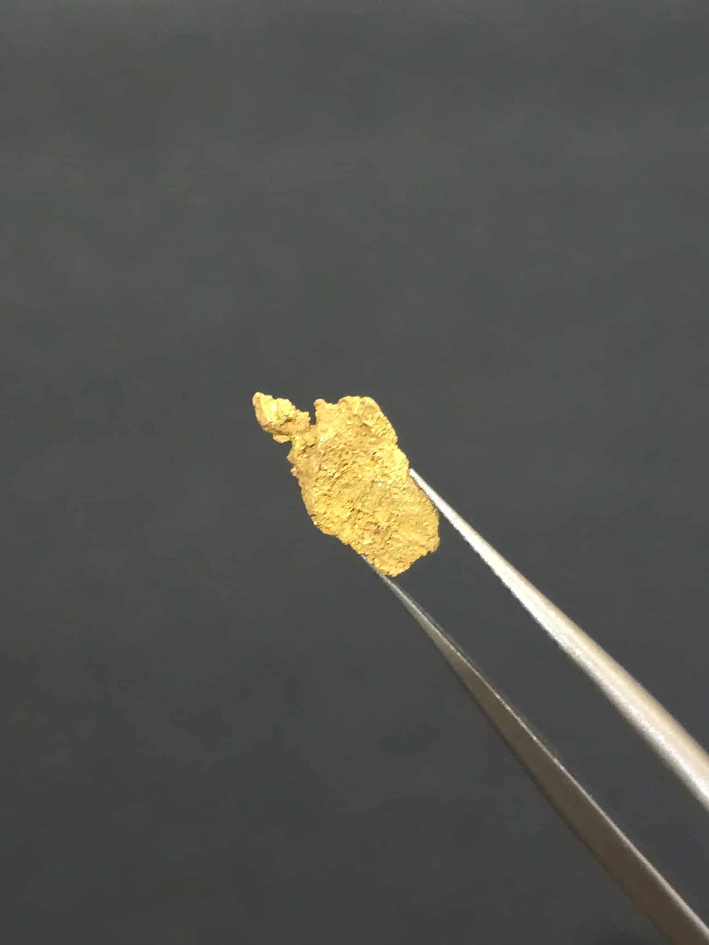 0.27 Gold Leaf Nugget
