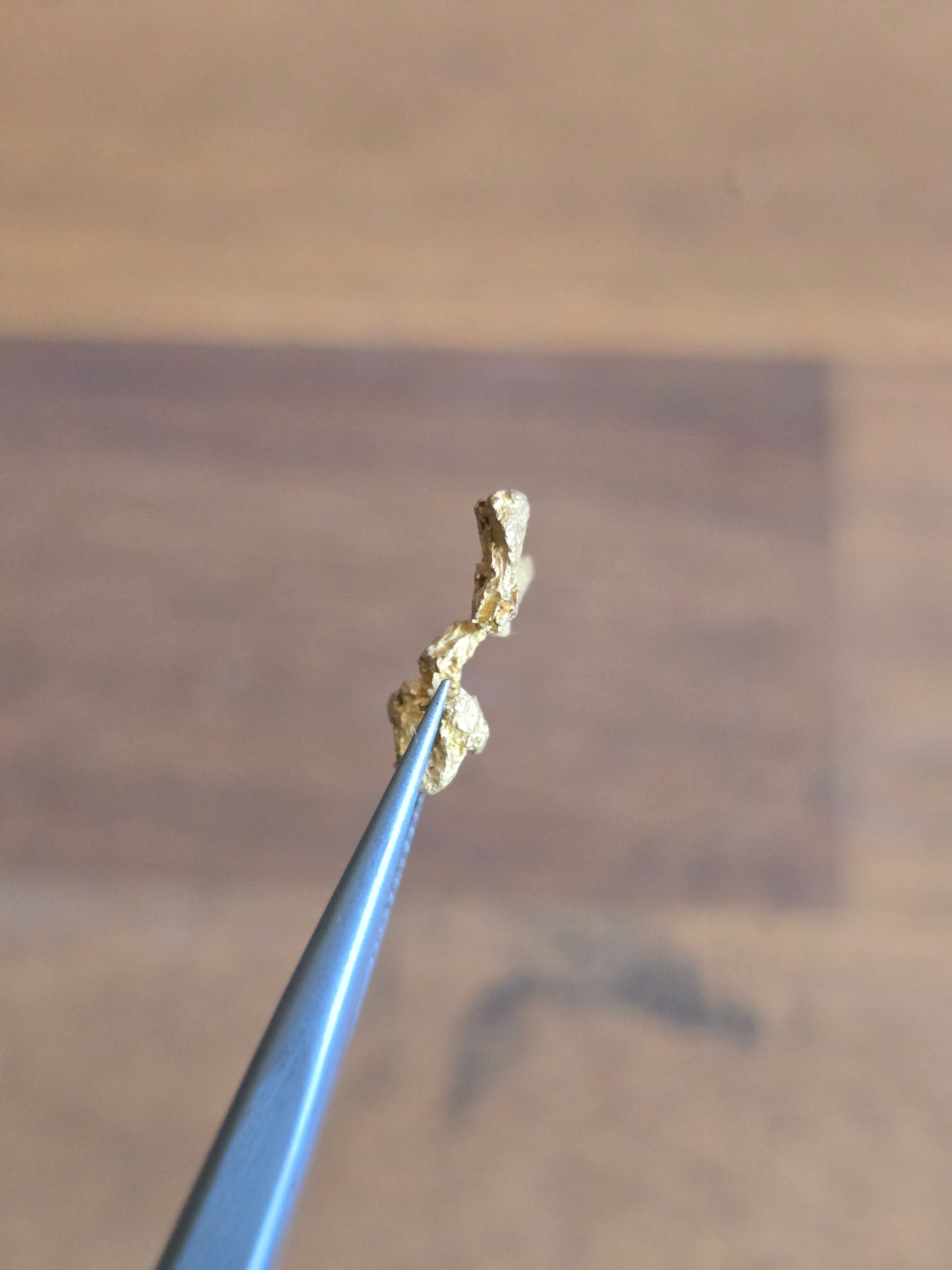 1.34g Gold Nugget