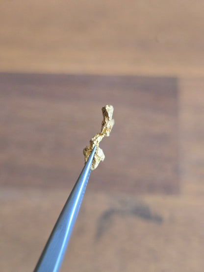 1.34g Gold Nugget