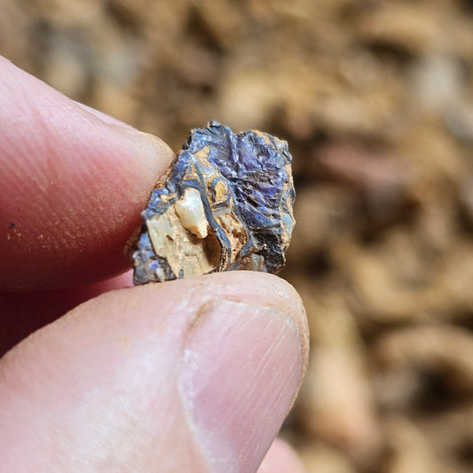 Unsearched Opal Slobber Bags