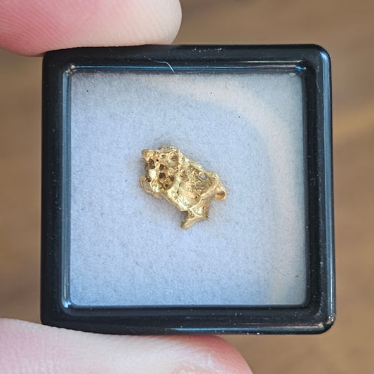 0.835 Bendigo Gold Nugget