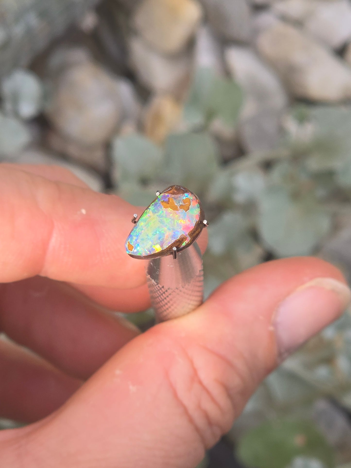 Boulder opal