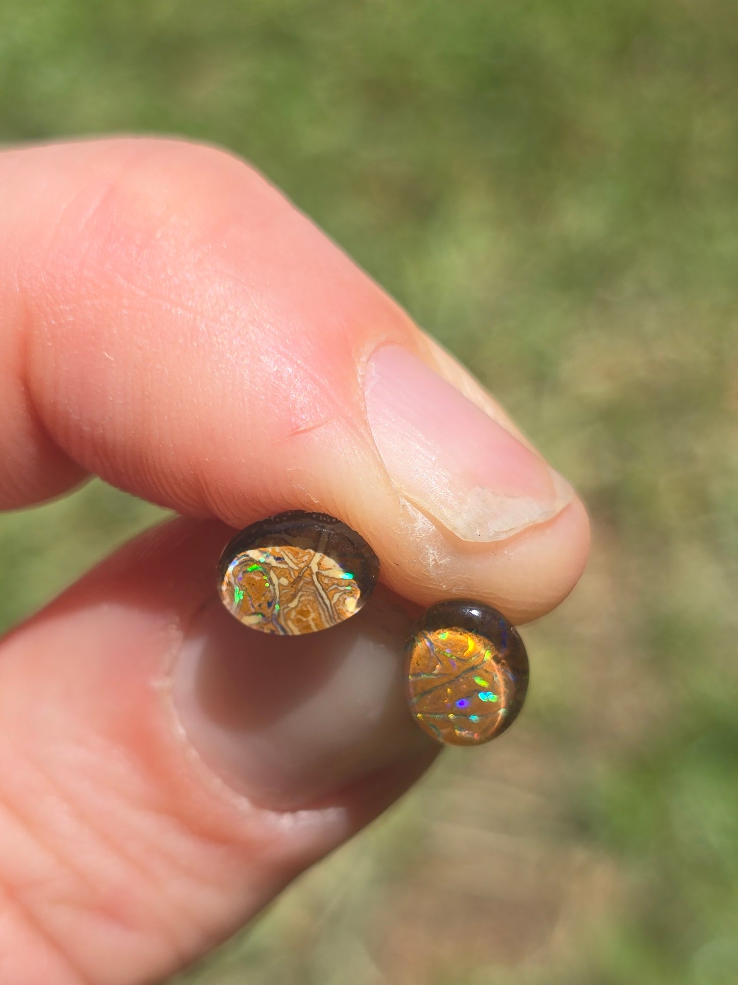 Opal earrings n3