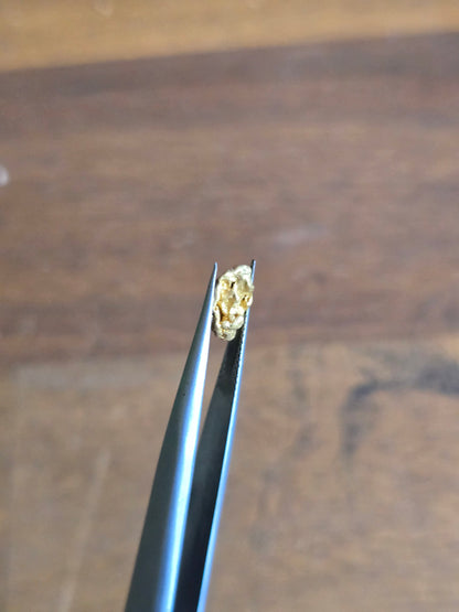 0.75g Gold Nugget