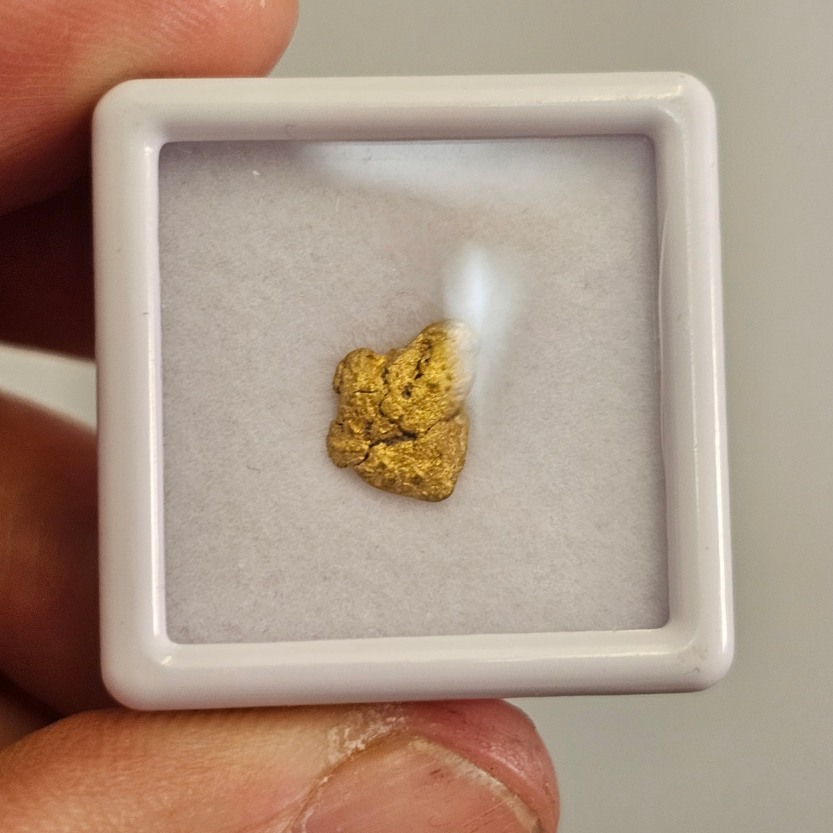1 Gram Rushworth Gold Nugget