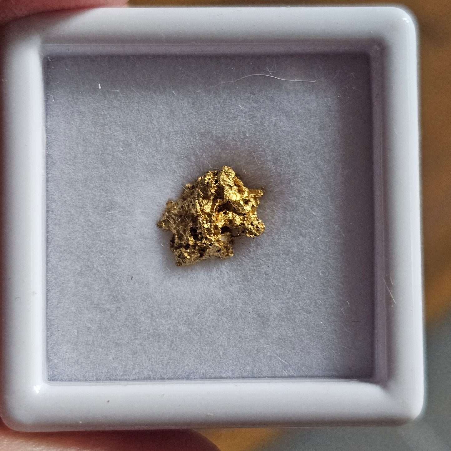 0.64g FNQ gold nugget