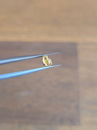 0.17g Gold Nugget