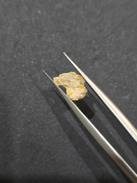 0.541 Gold Leaf Nugget