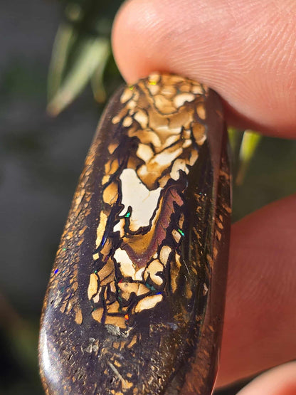 Queensland boulder Opal