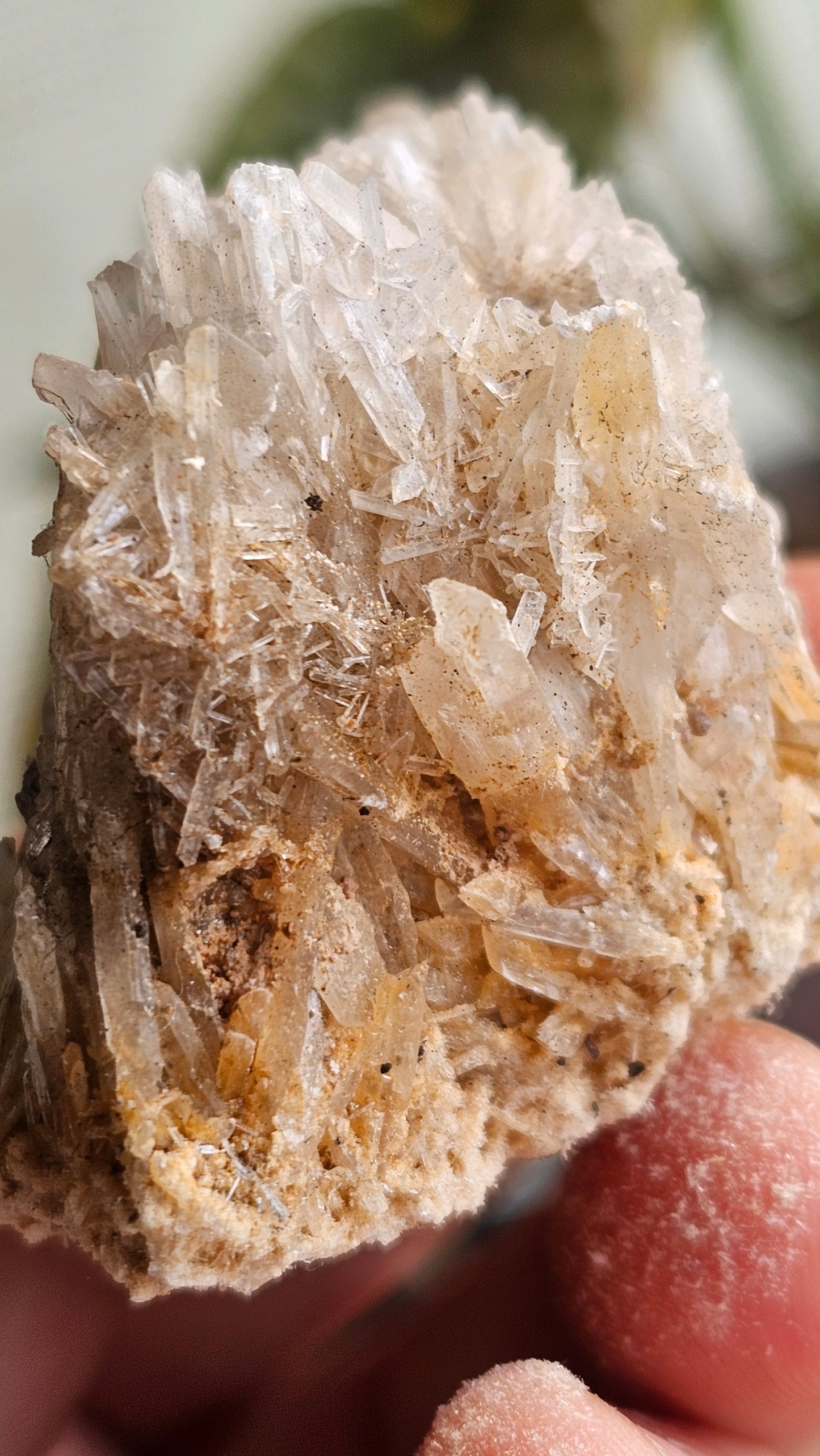 Australian Selenite