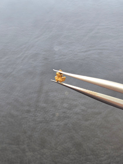 0.07g Gold Nugget