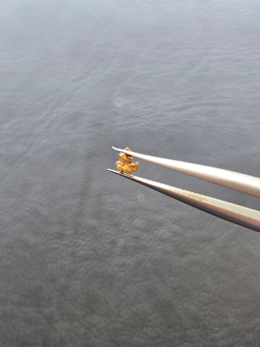 0.07g Gold Nugget
