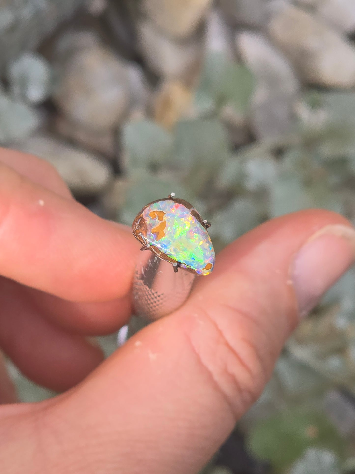 Boulder opal