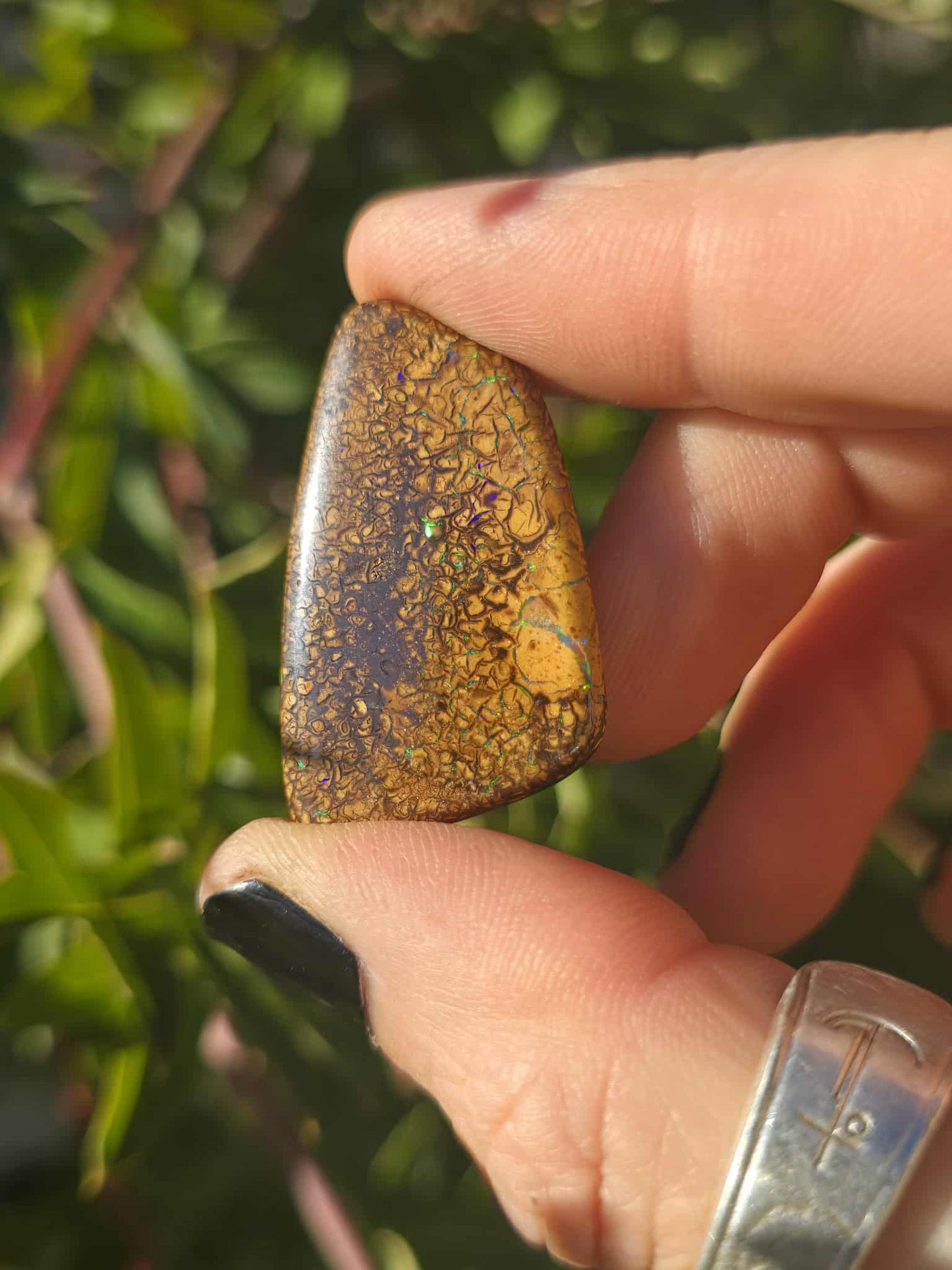 QLD Boulder Opal 52ct