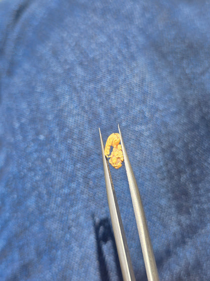 0.273g Gold Nugget