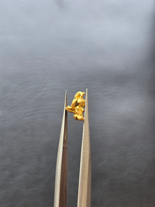 0.38g Gold Nugget