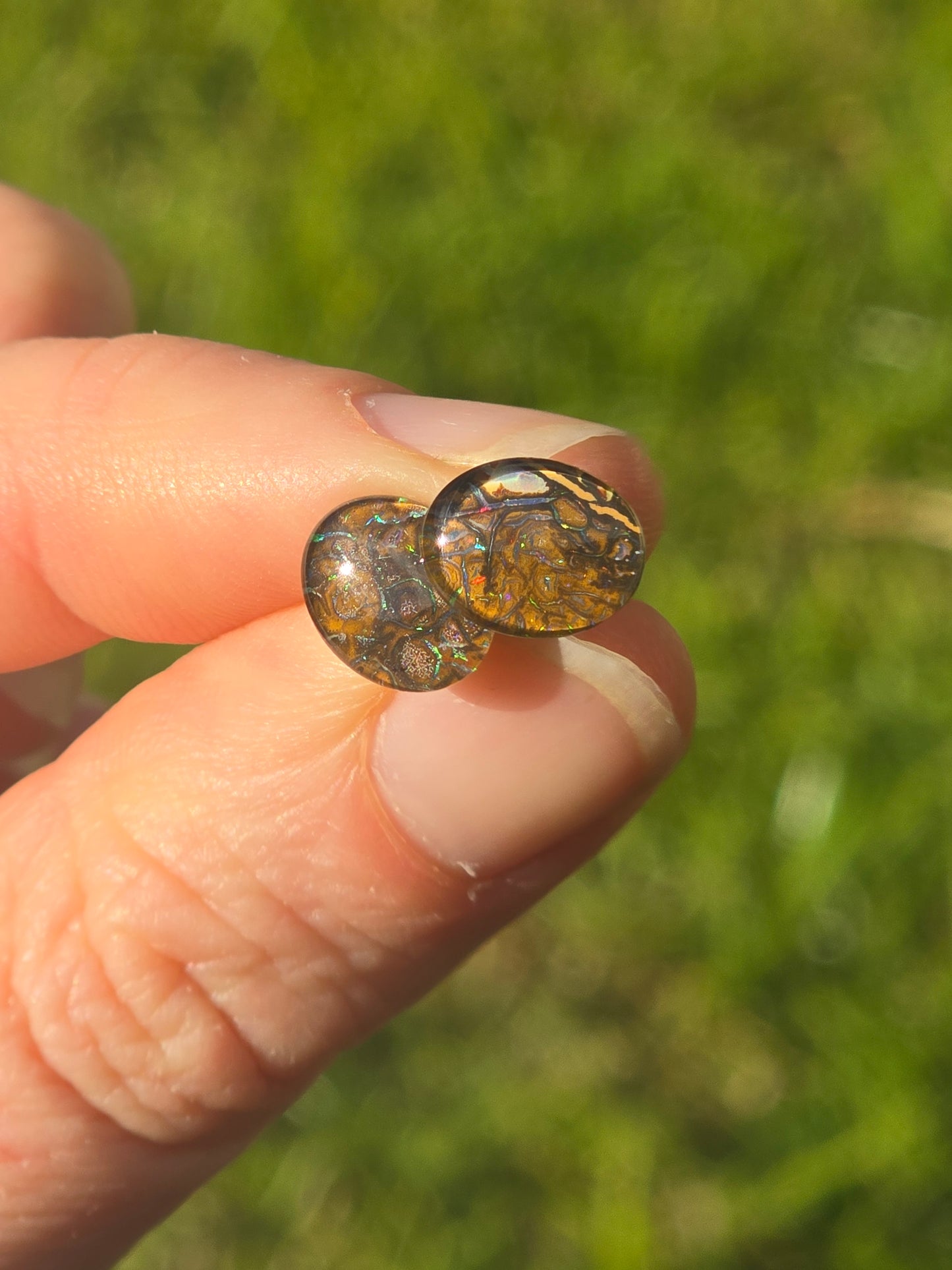 Opal Earrings #H