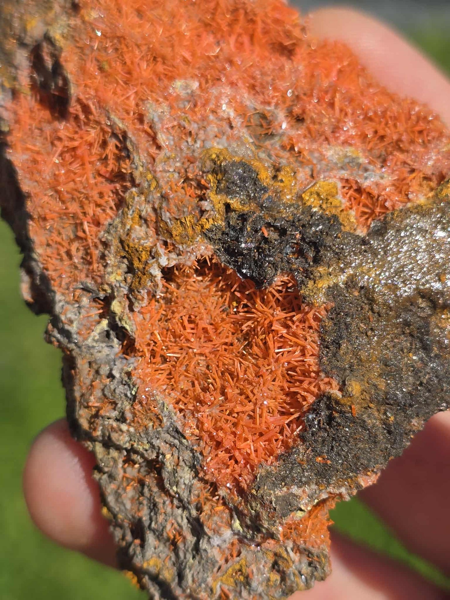 Rare Crocoite specimen Lrg