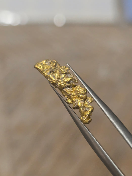 1.591g Clearmont gold nugget