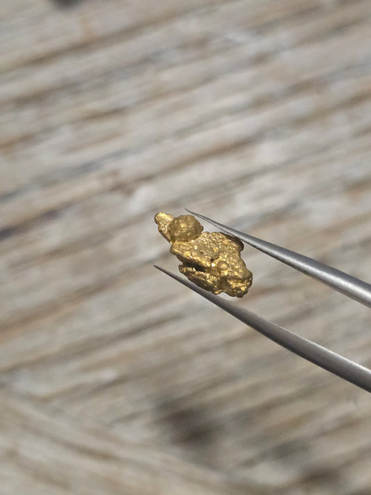 1.598g Clearmont gold nugget
