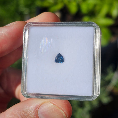 0.64ct Blue Trilliant CQ Sapphire