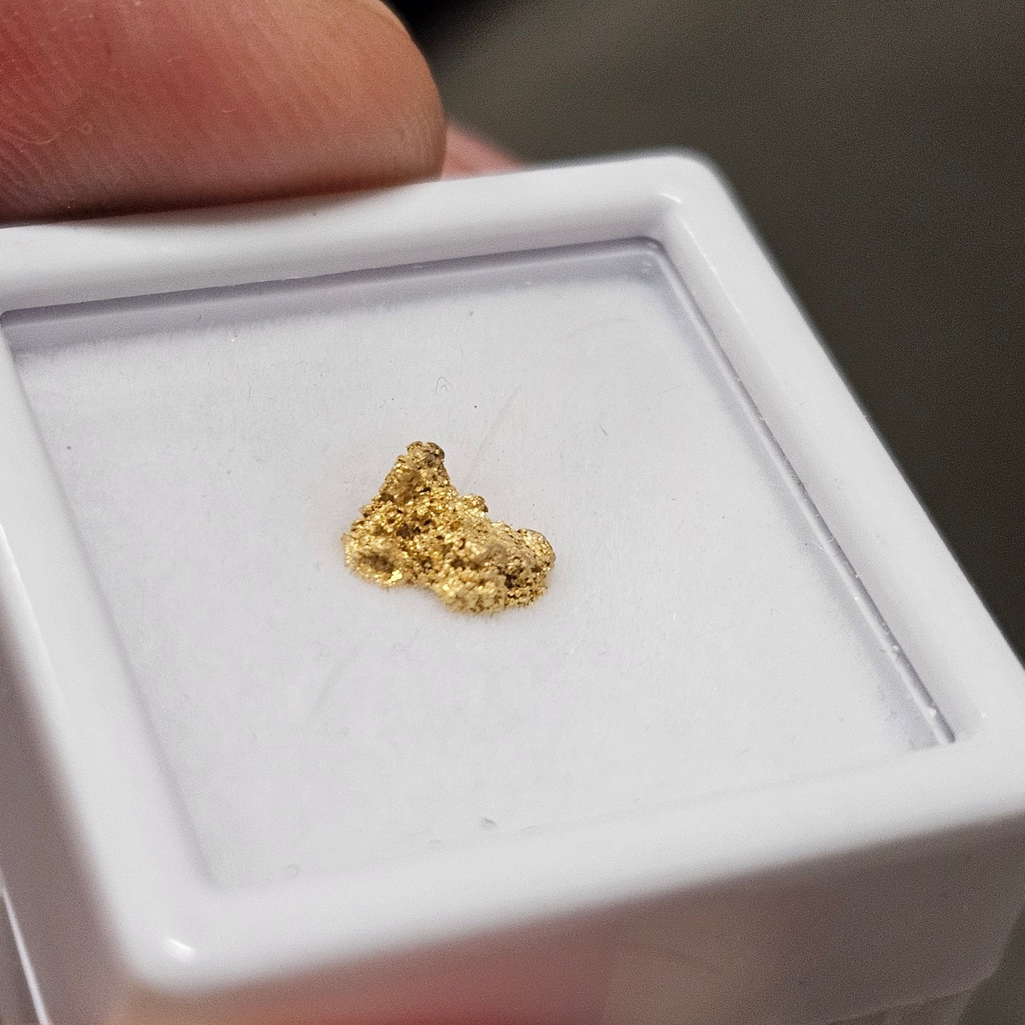 0.31g Reef Gold Specimen