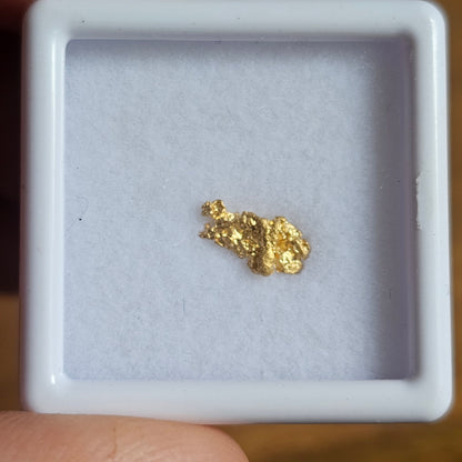 0.291g Bendigo Gold Nugget