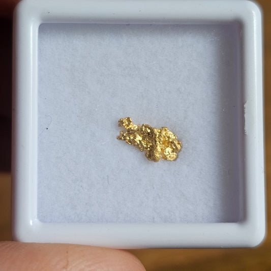 0.291g Bendigo Gold Nugget