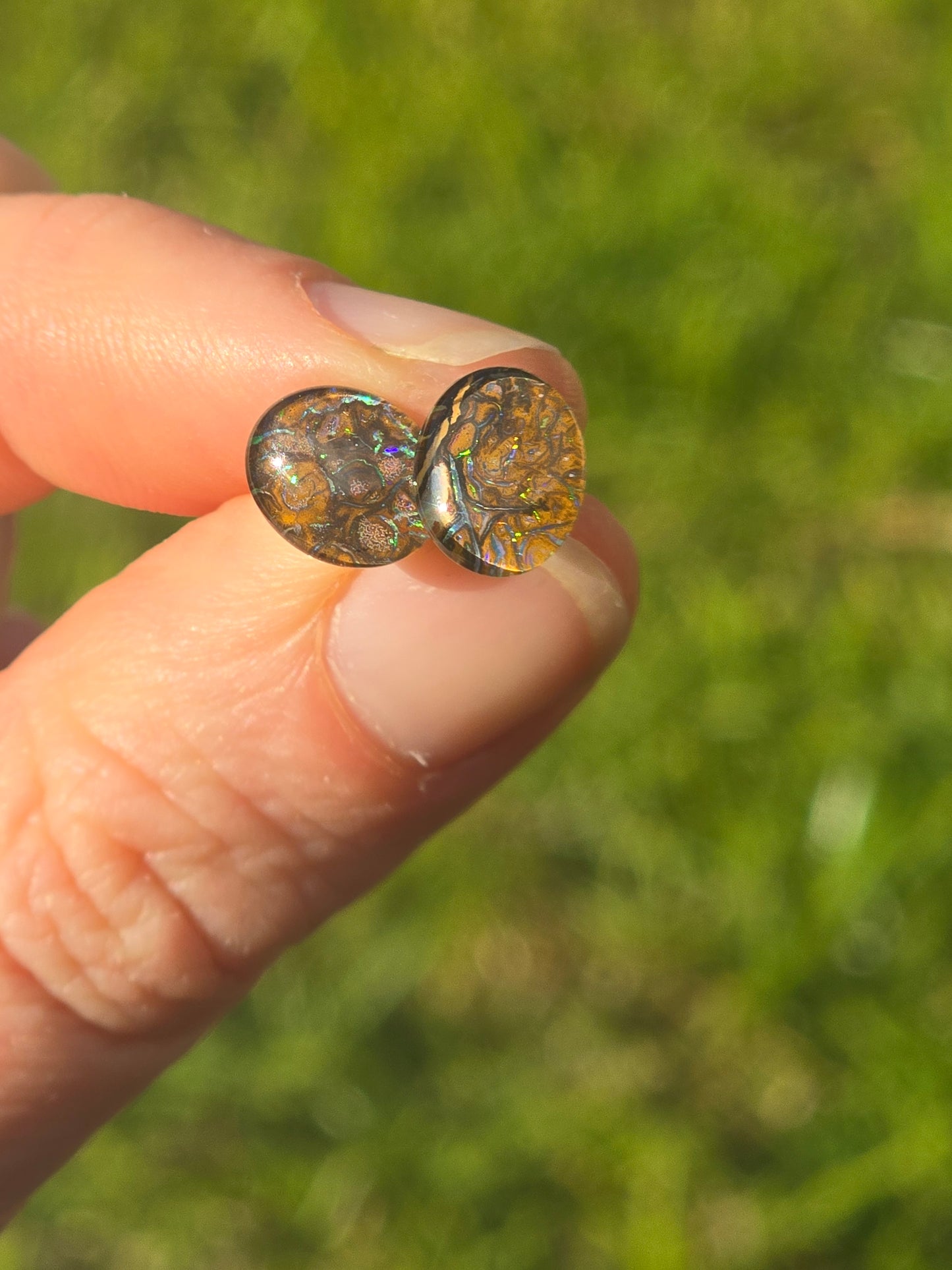 Opal Earrings #H