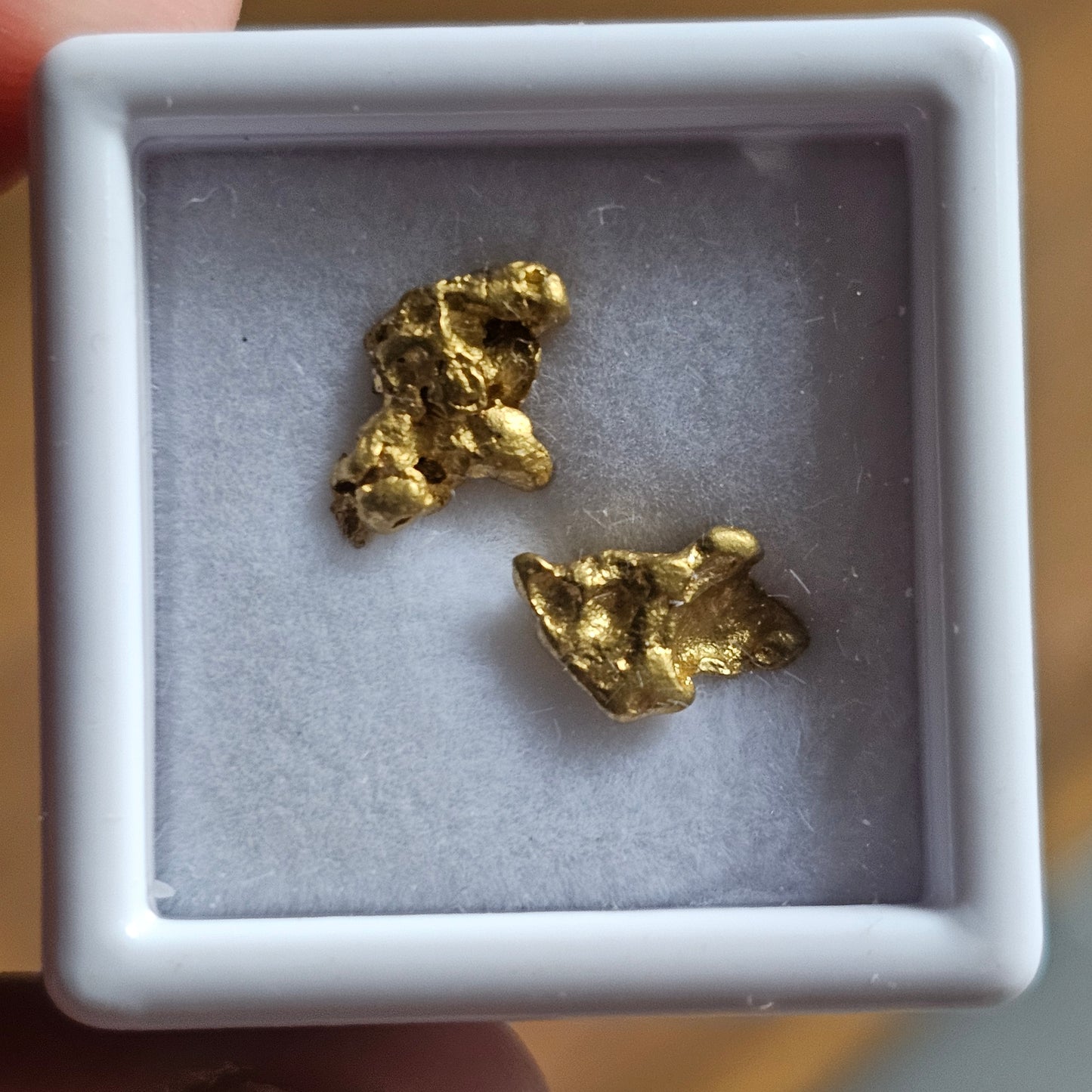 1.47g FNQ gold nuggets