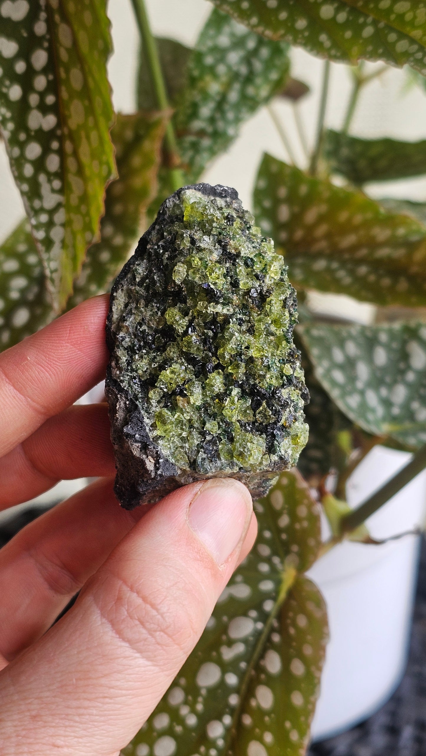 Peridote specimen