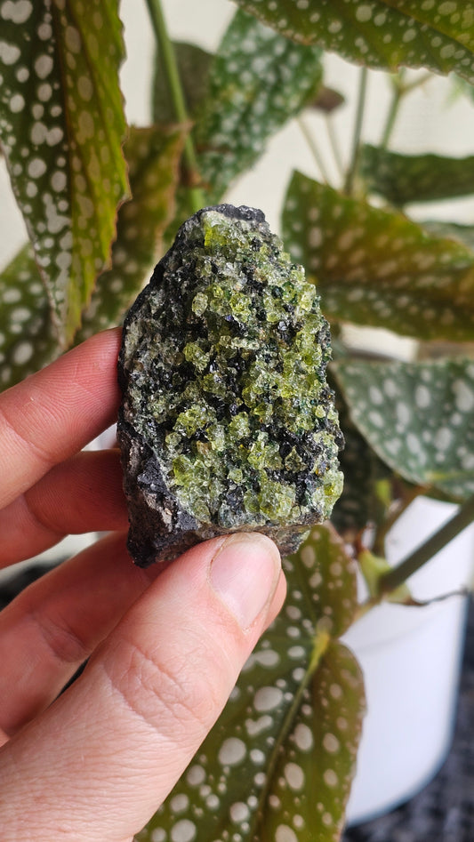 Peridote specimen