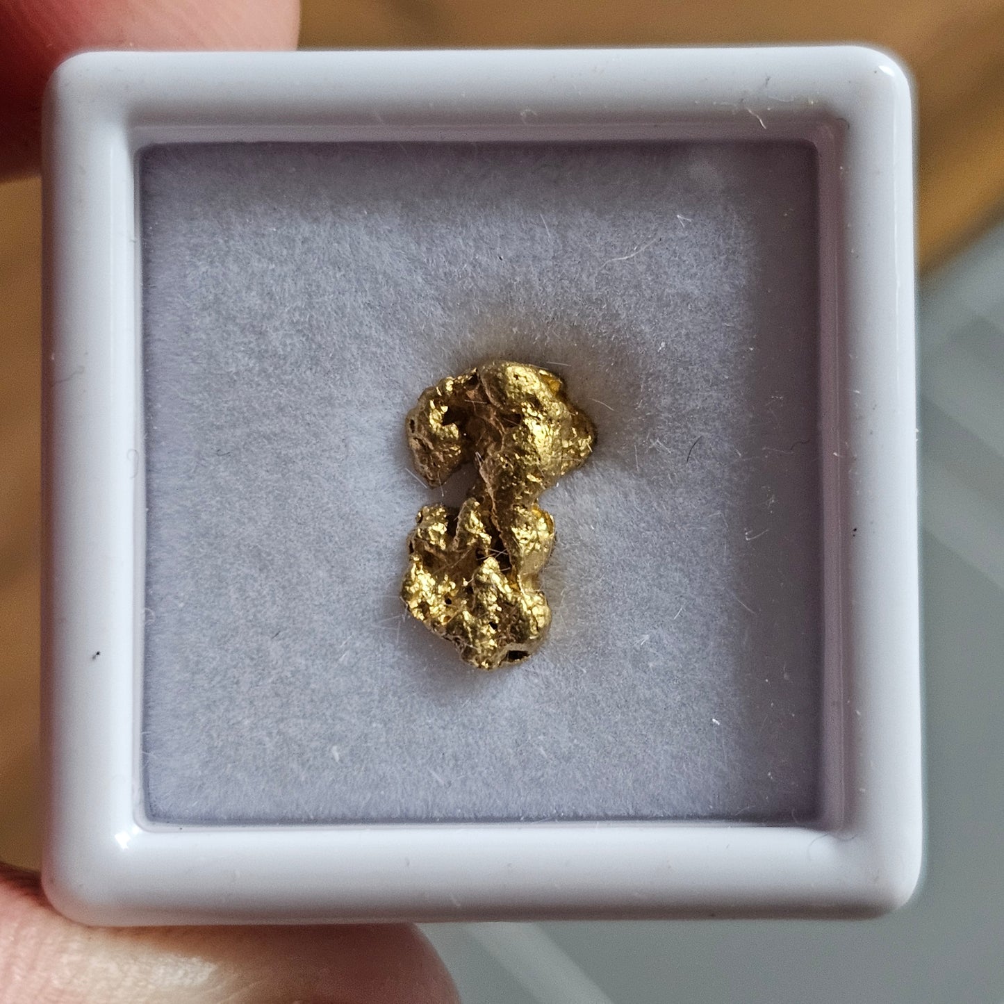 1.10g FNQ gold nugget