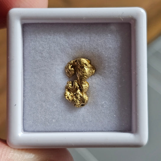 1.10g FNQ gold nugget