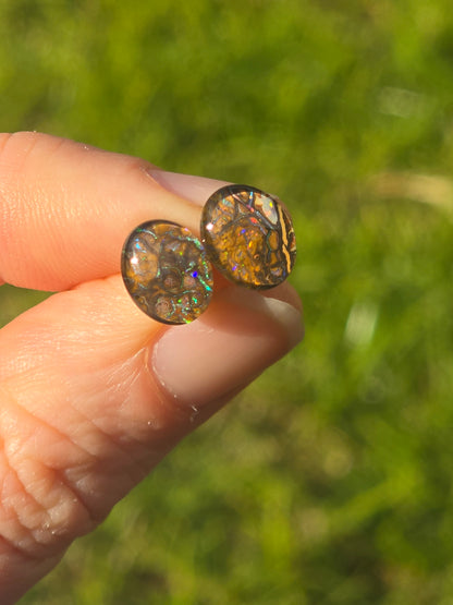 Opal Earrings #H