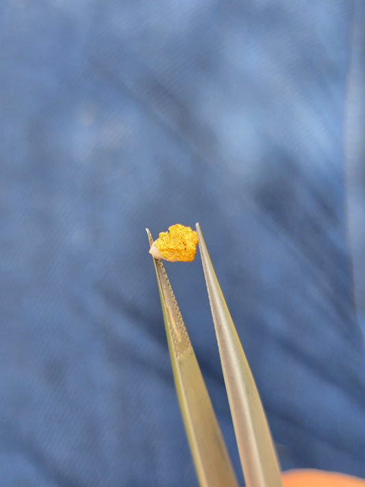 0.15g Gold Nugget