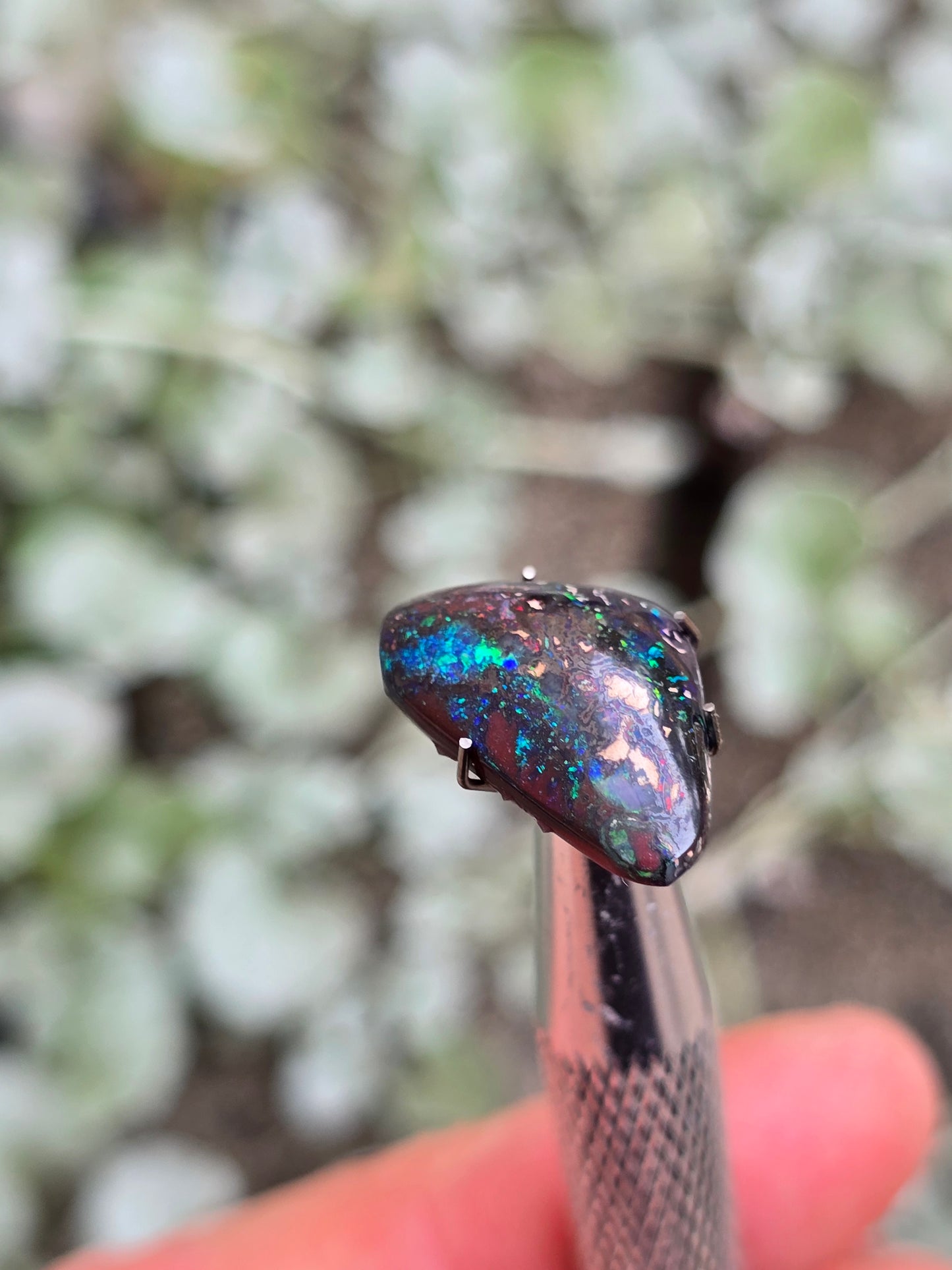 Opal