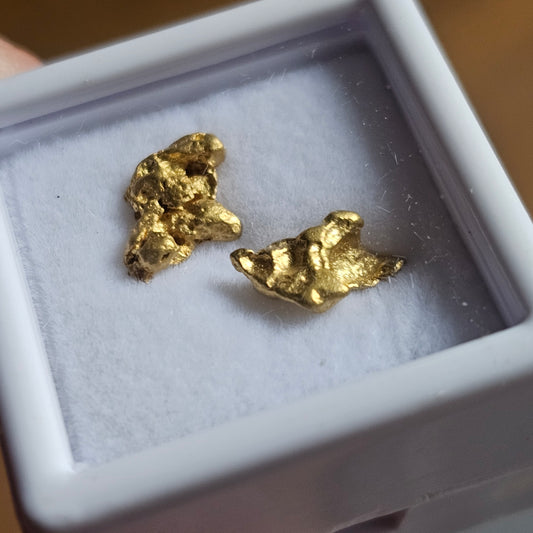 1.47g FNQ gold nuggets