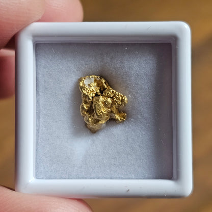 1.42g FNQ Gold Nugget