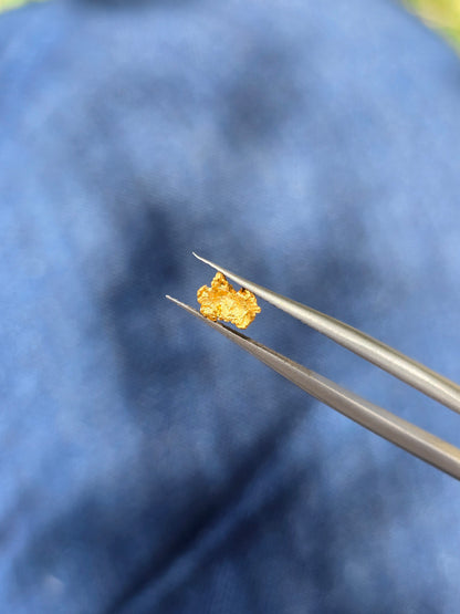 0.234 Gold Nugget