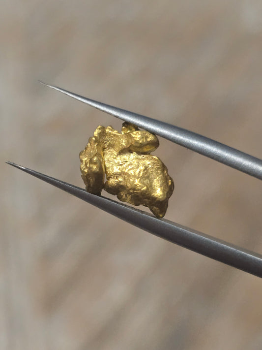 2.097g Clearmont gold nugget