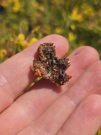 Rare Crocoite Specimen | Adelaide Mine