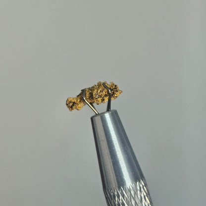 0.527g WA Reef Specimen